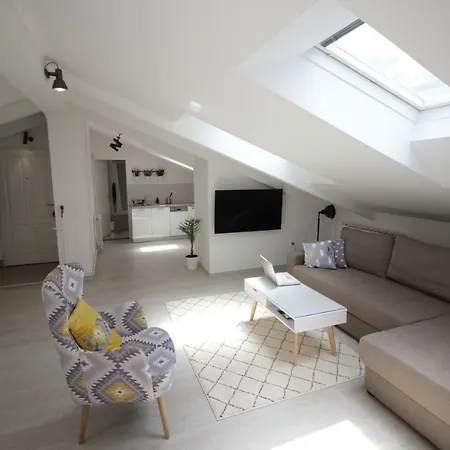 Ipanema Attic * 图兹拉